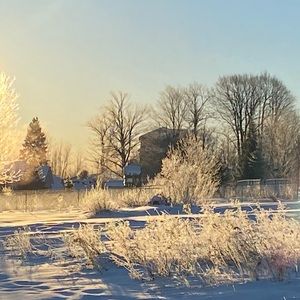 Meet your Posher, Amands